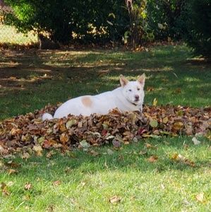 Meet your Posher, Zoe